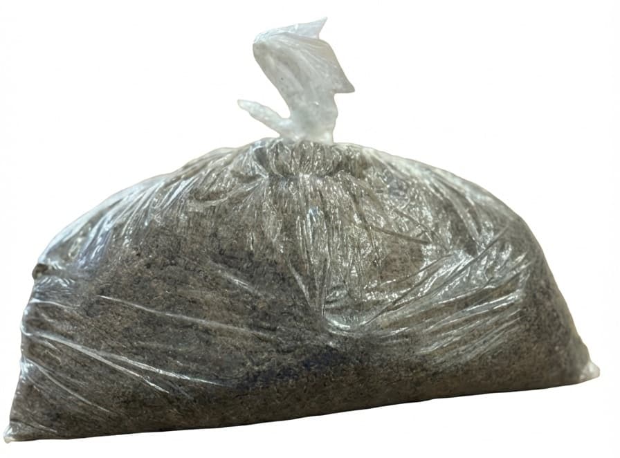 Semilla De Jícaro